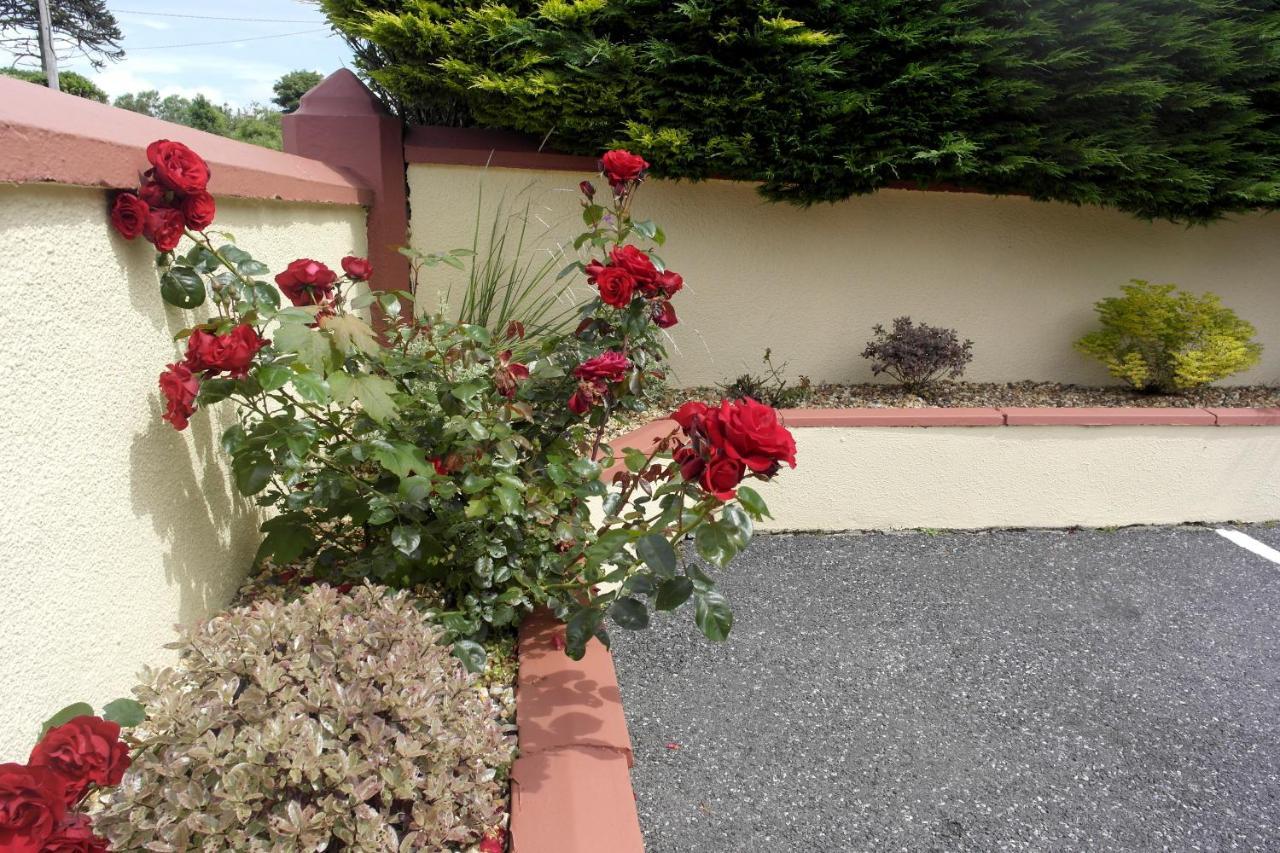 Seacourt Accommodation Tramore - Adult Only Exterior photo